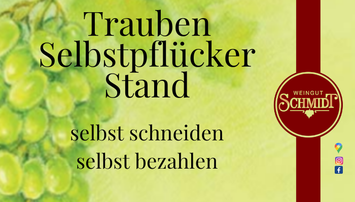 Traubenselbstpflückerstand